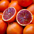 Moro Blood Orange Plant | Dwarf and Hybrid Plants