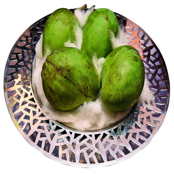 Kohitur Mango Plant | Dwarf and Hybrid Plants
