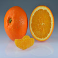 Fancy Orange Plant | Dwarf and Hybrid Plants