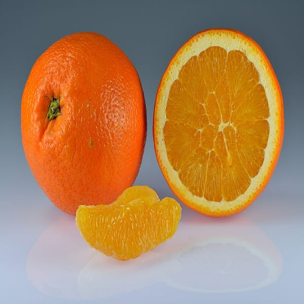 Fancy Orange Plant | Dwarf and Hybrid Plants