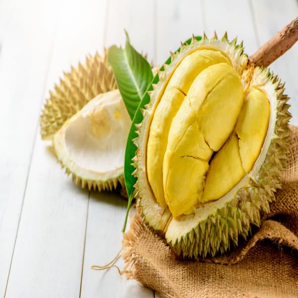 Durian Fruit Plant| Dwarf and Hybrid Plants