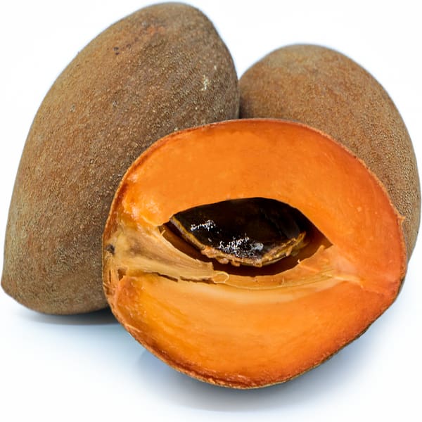 Rare Mamey Sapote Fruit Plant | Dwarf and Hybrid Plants