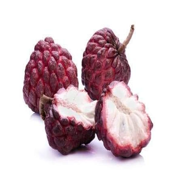 Red Custard Apple Plant | Dwarf and Hybrid Plants