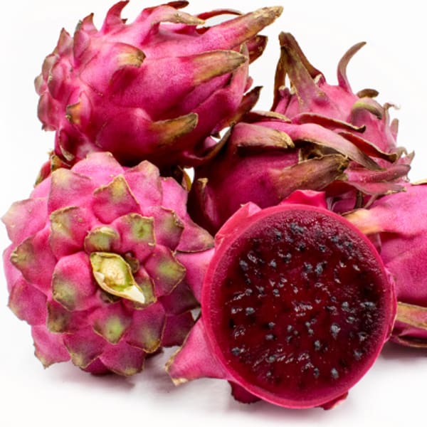 Hybrid Pink Dragon Fruit Plant | Dwarf and Hybrid Plants