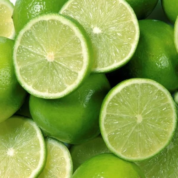 Seedless Lemon Plant| Dwarf and Hybrid Plants
