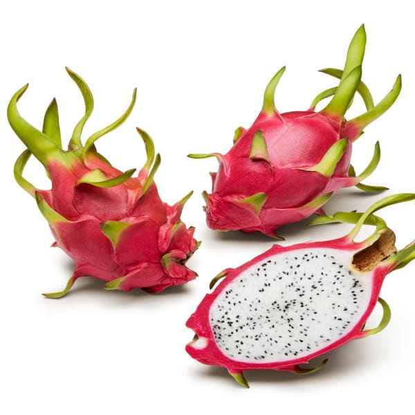 Hybrid White Dragon Fruit Plant | Dwarf and Hybrid Plants