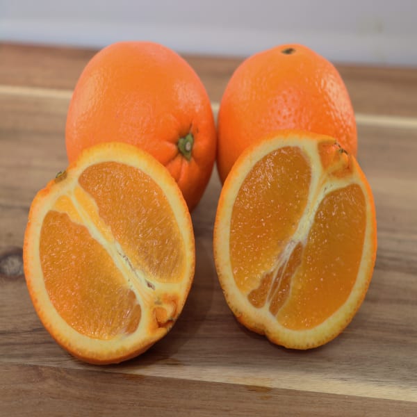 Washington Navel Orange Plant | Dwarf and Hybrid Plants