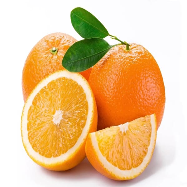 Kinnow Orange Plant | Dwarf and Hybrid Plants
