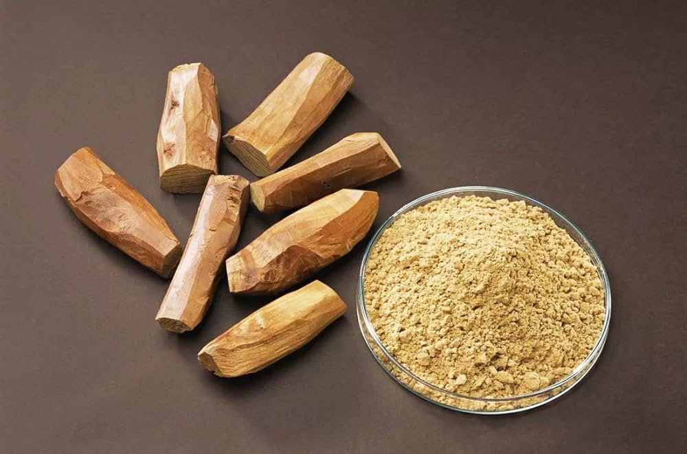 Rare White Sandalwood plant | White Chandan Plant
