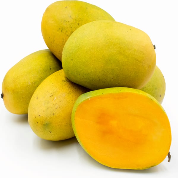 Dasheri Mango Plant | Dwarf and Hybrid Plants