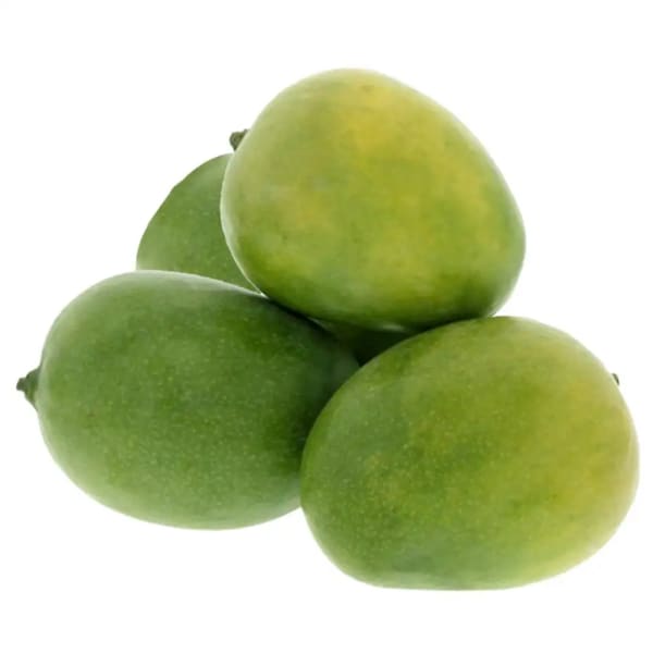 Gobindabhog Mango Plant | Dwarf and Hybrid Plants