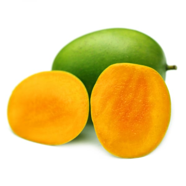 Langra Mango Plant | Dwarf and Hybrid Plants