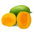 Langra Mango Plant | Dwarf and Hybrid Plants