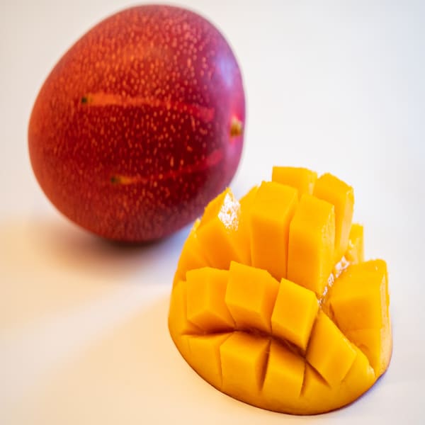 Miyazaki Mango Plant | Dwarf and Hybrid Plants