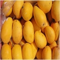 Baganpalli Mango Plant | Dwarf and Hybrid Plants