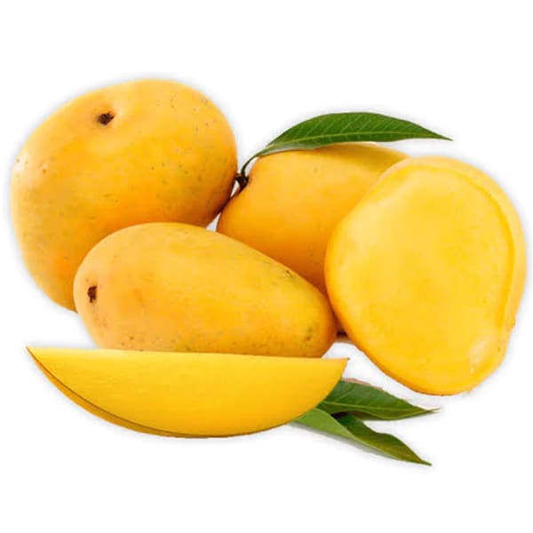 Chowsa Mango Plant | Dwarf and Hybrid Plants