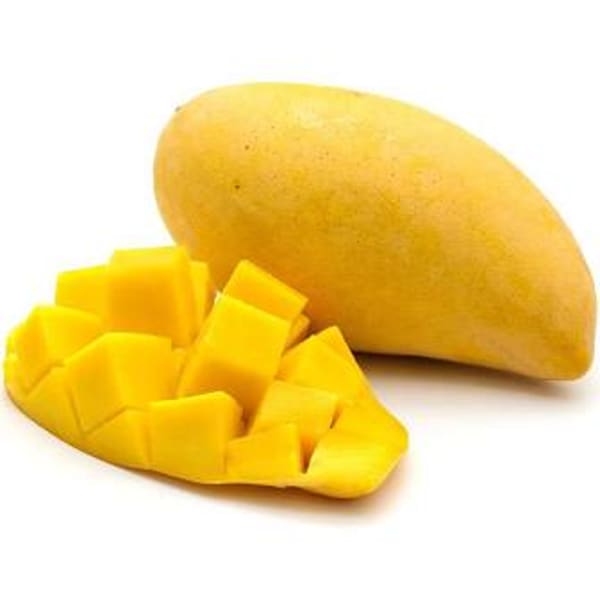 Chowsa Mango Plant | Dwarf and Hybrid Plants
